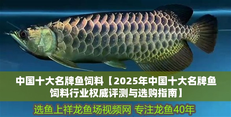 中國十大名牌魚飼料【2025年中國十大名牌魚飼料行業權威評測與選購指南】