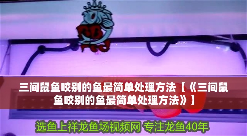三間鼠魚咬別的魚最簡單處理方法【《三間鼠魚咬別的魚最簡單處理方法》】