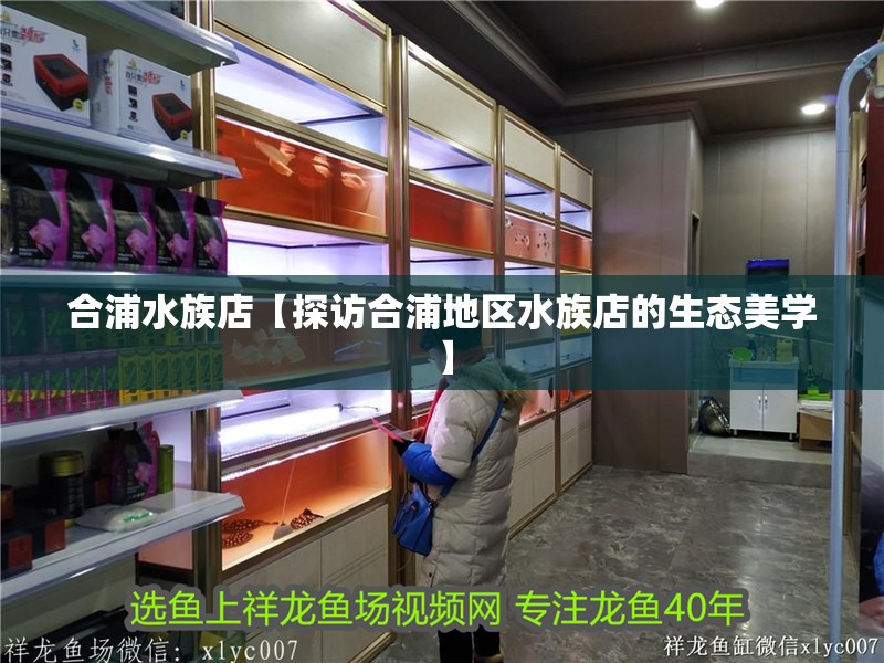 合浦水族店【探訪合浦地區水族店的生態美學】