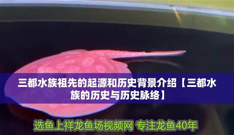 三都水族祖先的起源和歷史背景介紹【三都水族的歷史與歷史脈絡】