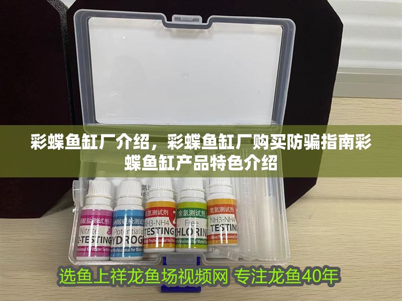 彩蝶魚缸廠介紹，彩蝶魚缸廠購買防騙指南彩蝶魚缸產(chǎn)品特色介紹