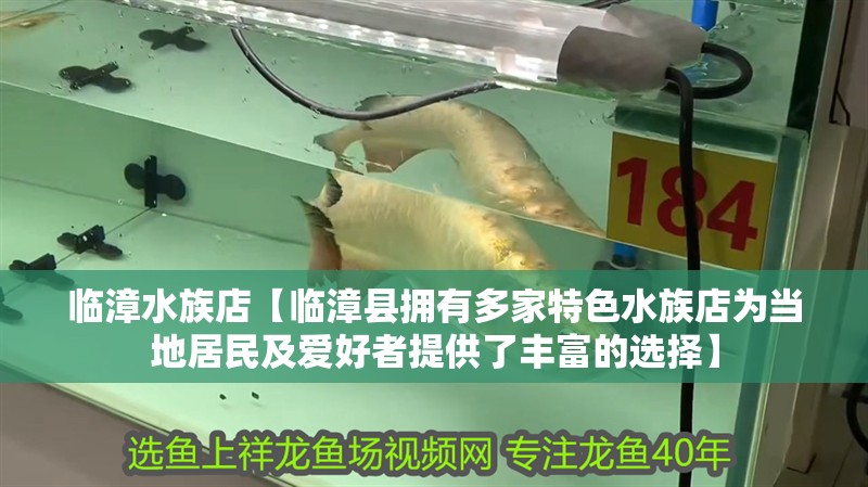 臨漳水族店【臨漳縣擁有多家特色水族店為當地居民及愛好者提供了豐富的選擇】
