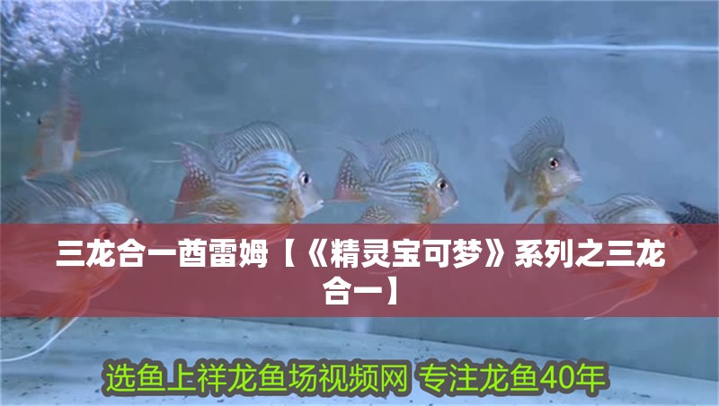 三龍合一酋雷姆【《精靈寶可夢》系列之三龍合一】