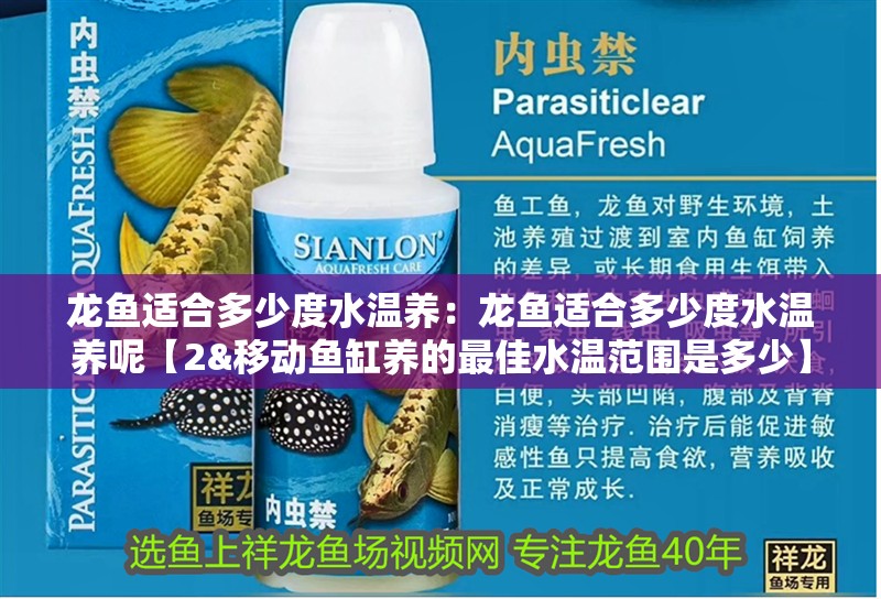 龍魚適合多少度水溫養：龍魚適合多少度水溫養呢【2&移動魚缸養的最佳水溫范圍是多少】