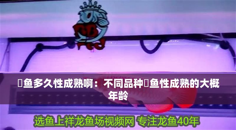 魟魚多久性成熟啊：不同品種魟魚性成熟的大概年齡