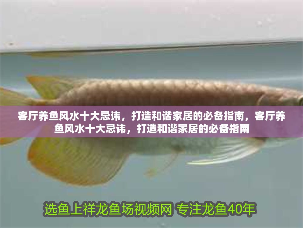 客廳養魚風水十大忌諱，打造和諧家居的必備指南，客廳養魚風水十大忌諱，打造和諧家居的必備指南