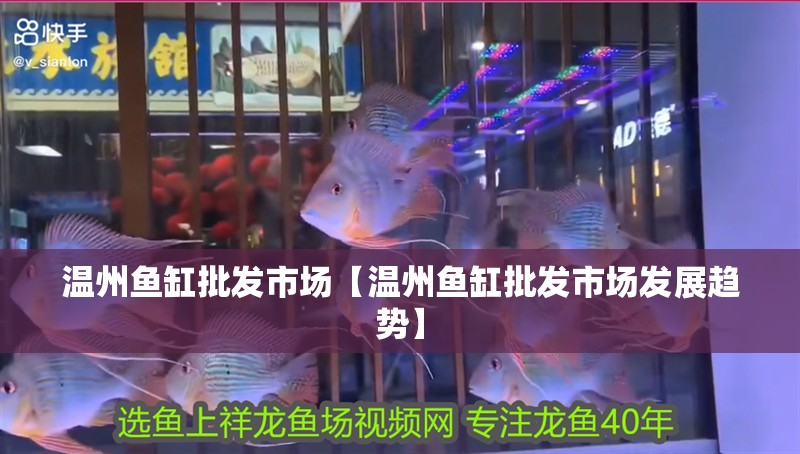 溫州魚缸批發(fā)市場【溫州魚缸批發(fā)市場發(fā)展趨勢】