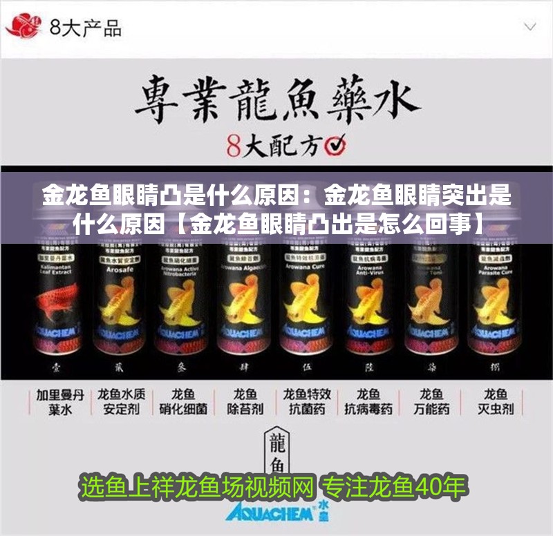 金龍魚(yú)眼睛凸是什么原因：金龍魚(yú)眼睛突出是什么原因【金龍魚(yú)眼睛凸出是怎么回事】