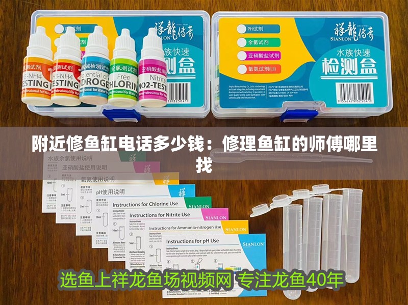 附近修魚缸電話多少錢：修理魚缸的師傅哪里找