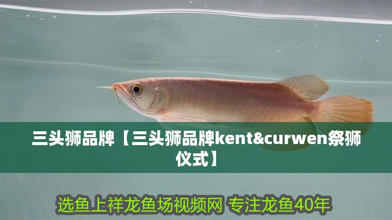 三頭獅品牌【三頭獅品牌kent&curwen祭獅儀式】