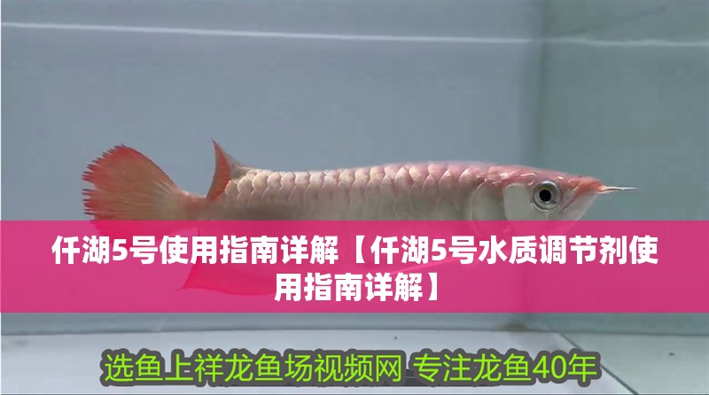 仟湖5號使用指南詳解【仟湖5號水質(zhì)調(diào)節(jié)劑使用指南詳解】