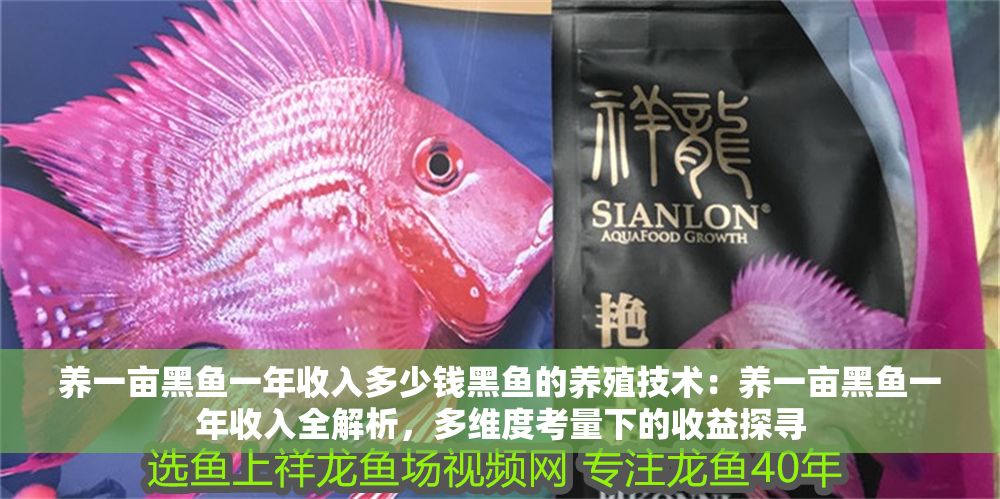養一畝黑魚一年收入多少錢黑魚的養殖技術：養一畝黑魚一年收入全解析，多維度考量下的收益探尋