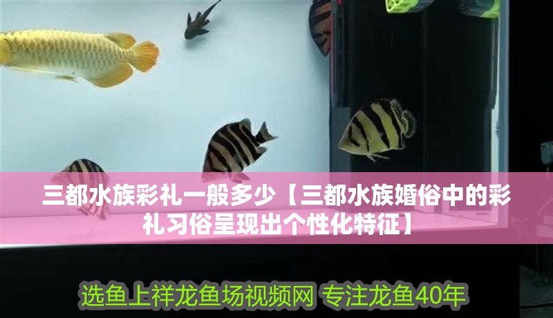 三都水族彩禮一般多少【三都水族婚俗中的彩禮習俗呈現出個性化特征】