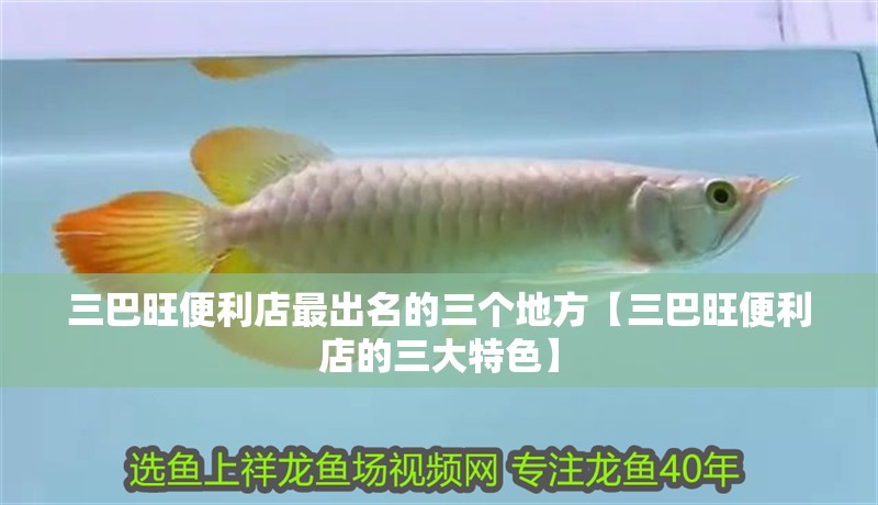 三巴旺便利店最出名的三個(gè)地方【三巴旺便利店的三大特色】