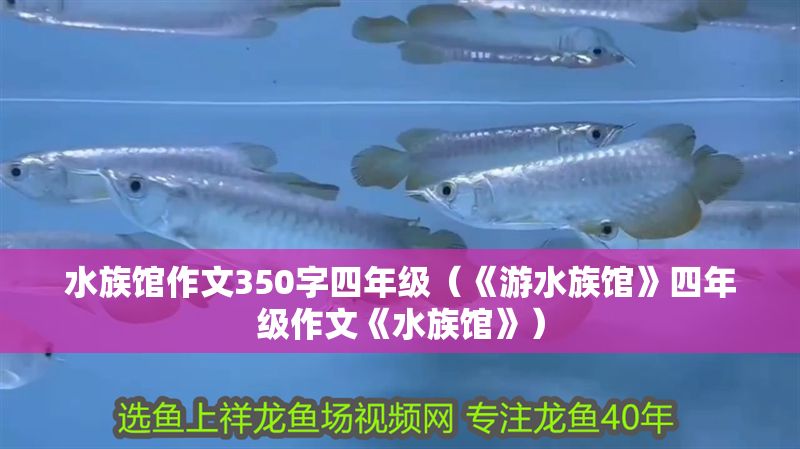 水族館作文350字四年級（《游水族館》四年級作文《水族館》）