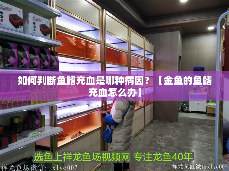 如何判斷魚(yú)鰭充血是哪種病因？【金魚(yú)的魚(yú)鰭充血怎么辦】