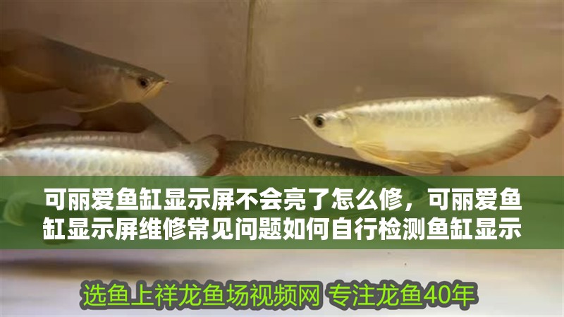可麗愛魚缸顯示屏不會亮了怎么修，可麗愛魚缸顯示屏維修常見問題如何自行檢測魚缸顯示屏清潔技巧