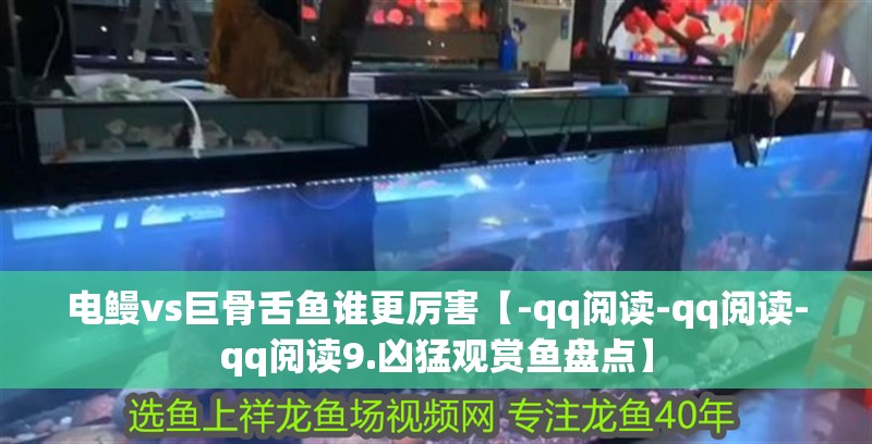 電鰻vs巨骨舌魚誰更厲害【-qq閱讀-qq閱讀-qq閱讀9.兇猛觀賞魚盤點】