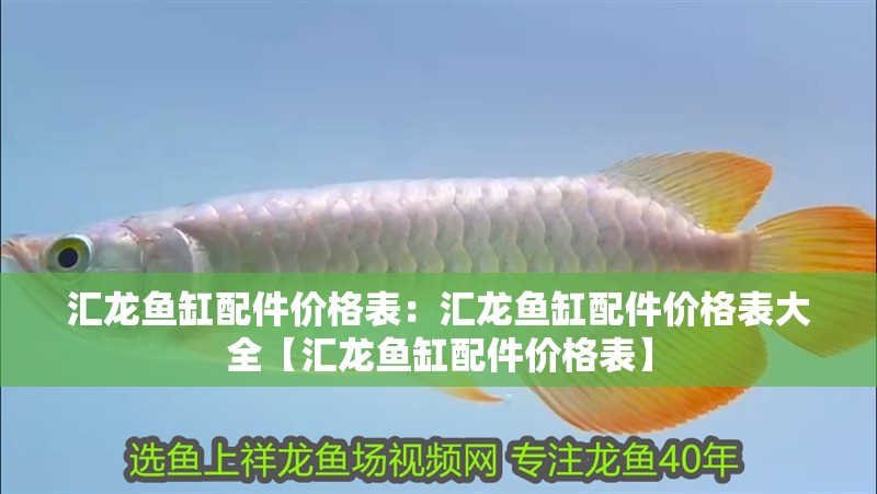 匯龍魚缸配件價格表：匯龍魚缸配件價格表大全【匯龍魚缸配件價格表】 匯龍魚缸配件價格表：匯龍魚缸配件價格表大全【匯龍魚缸配件價格表】 水族問答