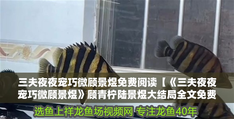 三夫夜夜寵巧微顧景煜免費閱讀【《三夫夜夜寵巧微顧景煜》顧青檸陸景煜大結局全文免費閱讀】
