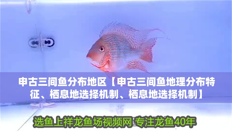 申古三間魚分布地區【申古三間魚地理分布特征、棲息地選擇機制、棲息地選擇機制】
