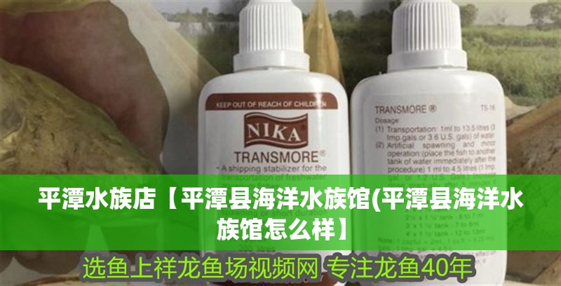 平潭水族店【平潭縣海洋水族館(平潭縣海洋水族館怎么樣】