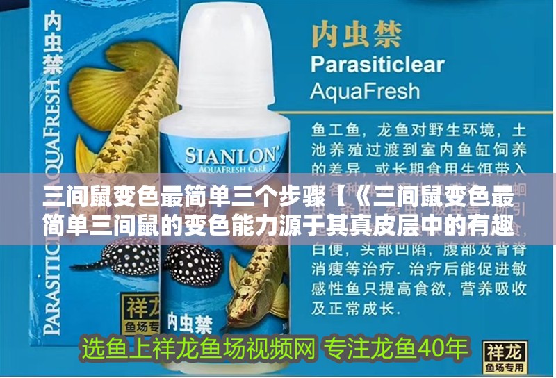 三間鼠變色最簡單三個步驟【《三間鼠變色最簡單三間鼠的變色能力源于其真皮層中的有趣現(xiàn)象】