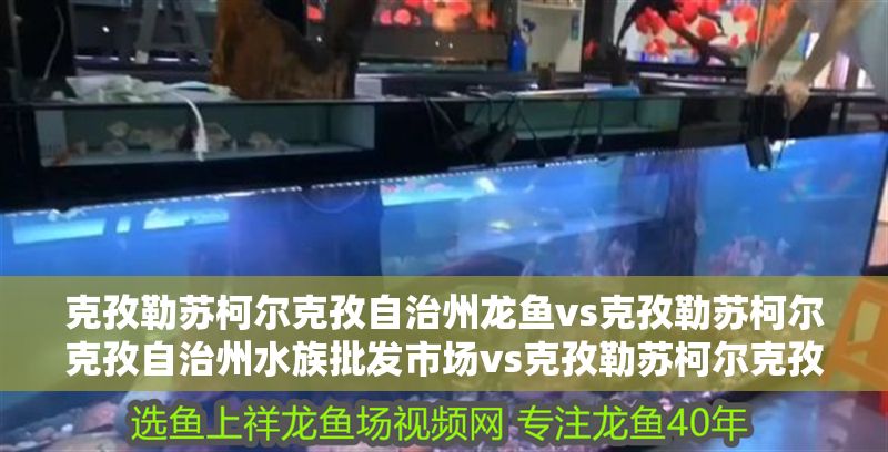 克孜勒蘇柯爾克孜自治州龍魚vs克孜勒蘇柯爾克孜自治州水族批發市場vs克孜勒蘇柯爾克孜自治州水族館vs克孜勒蘇柯爾克孜自治州魚缸批發市場vs祥龍魚場：克孜勒蘇柯爾克孜自治州水族市場分布