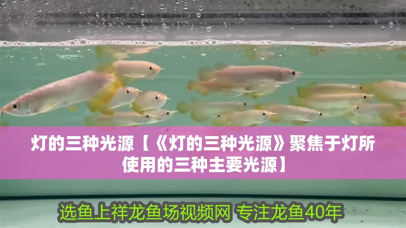 燈的三種光源【《燈的三種光源》聚焦于燈所使用的三種主要光源】