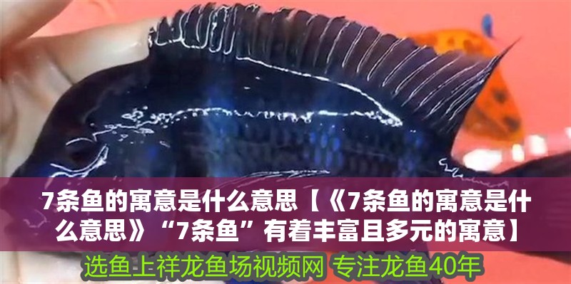 7條魚的寓意是什么意思【《7條魚的寓意是什么意思》“7條魚”有著豐富且多元的寓意】