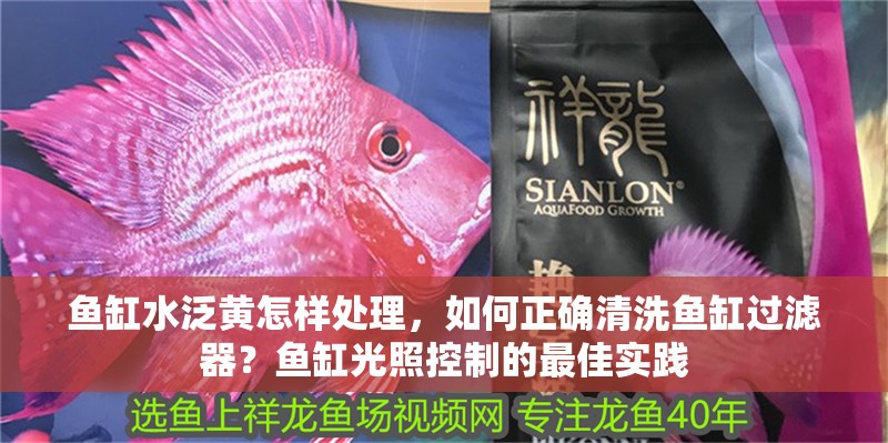 魚缸水泛黃怎樣處理，如何正確清洗魚缸過濾器？魚缸光照控制的最佳實踐