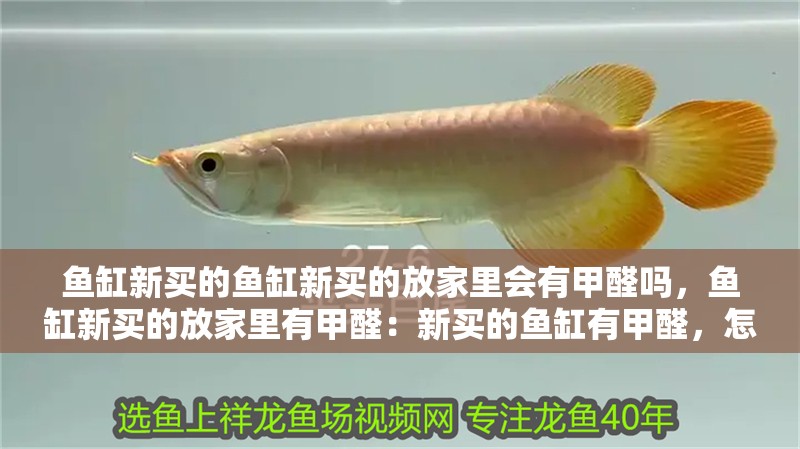 魚缸新買的魚缸新買的放家里會(huì)有甲醛嗎，魚缸新買的放家里有甲醛：新買的魚缸有甲醛，怎么辦？