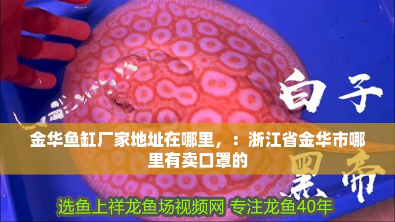金華魚缸廠家地址在哪里，：浙江省金華市哪里有賣口罩的
