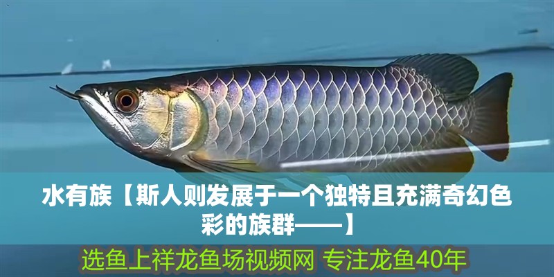 水有族【斯人則發(fā)展于一個(gè)獨(dú)特且充滿奇幻色彩的族群——】