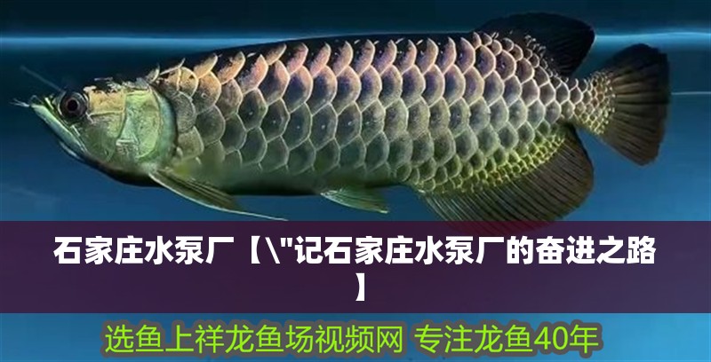 石家莊水泵廠【\