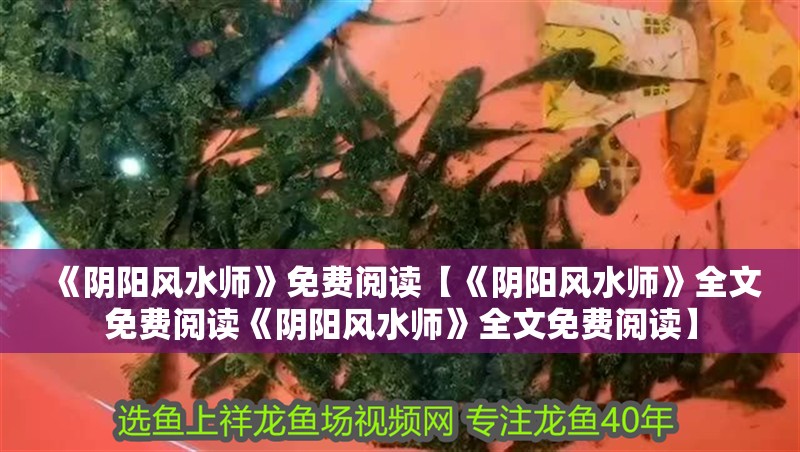 《陰陽風水師》免費閱讀【《陰陽風水師》全文免費閱讀《陰陽風水師》全文免費閱讀】