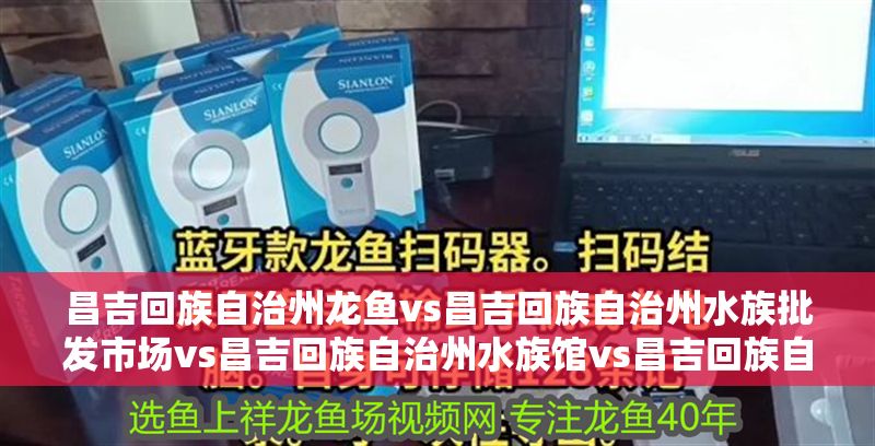 昌吉回族自治州龍魚vs昌吉回族自治州水族批發市場vs昌吉回族自治州水族館vs昌吉回族自治州魚缸批發市場vs祥龍魚場：昌吉回族自治州龍魚vs水族批發市場、水族館、魚缸批發市場的比較分析