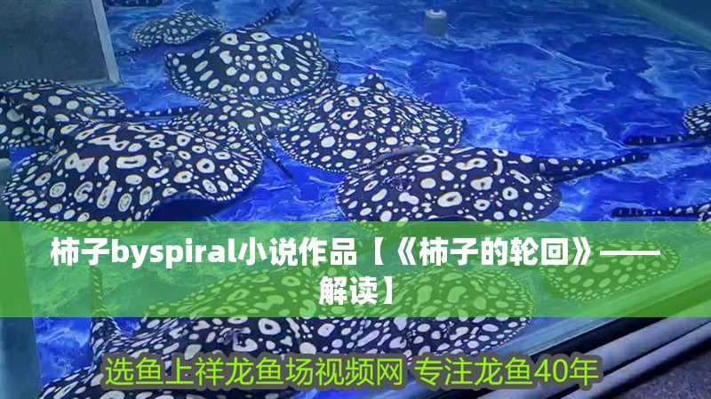 柿子byspiral小說作品【《柿子的輪回》——解讀】