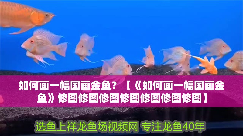 如何畫一幅國畫金魚？【《如何畫一幅國畫金魚》修圖修圖修圖修圖修圖修圖修圖】