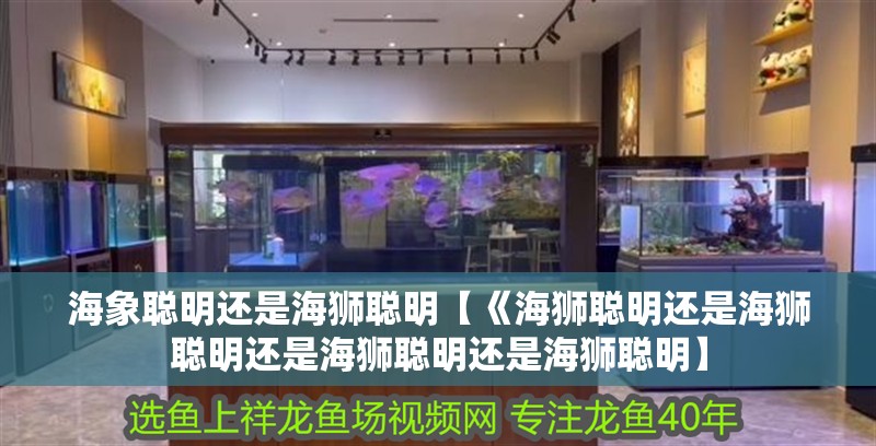 海象聰明還是海獅聰明【《海獅聰明還是海獅聰明還是海獅聰明還是海獅聰明】