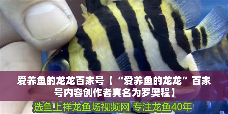 愛養魚的龍龍百家號【“愛養魚的龍龍”百家號內容創作者真名為羅奧程】