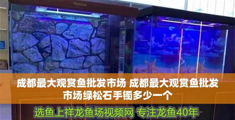 成都最大觀賞魚批發市場 成都最大觀賞魚批發市場綠松石手鐲多少一個