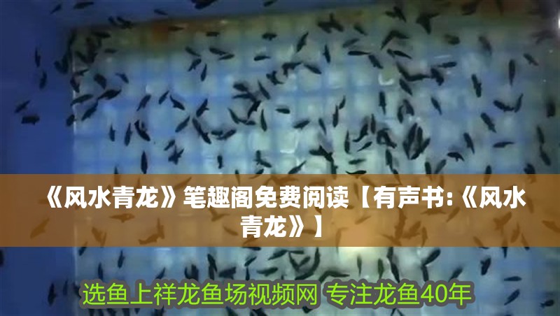 《風水青龍》筆趣閣免費閱讀【有聲書:《風水青龍》】