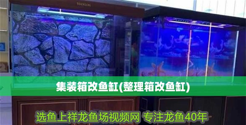 集裝箱改魚缸(整理箱改魚缸)