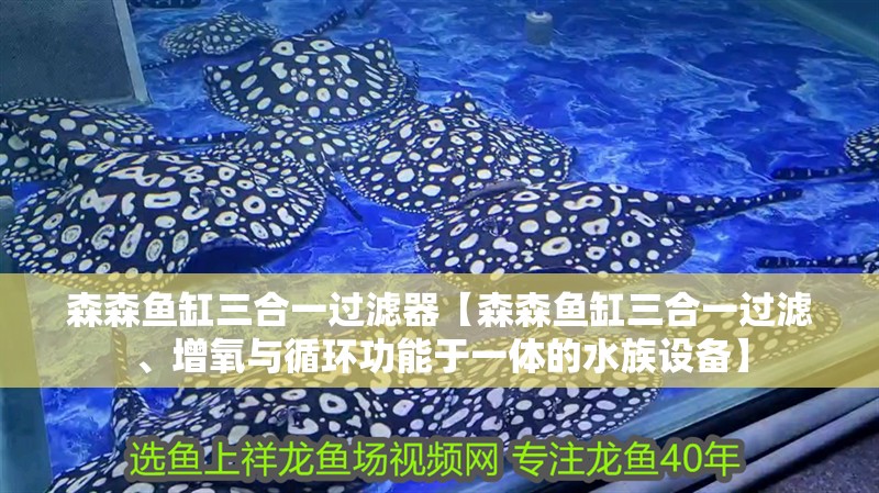 森森魚缸三合一過濾器【森森魚缸三合一過濾、增氧與循環功能于一體的水族設備】