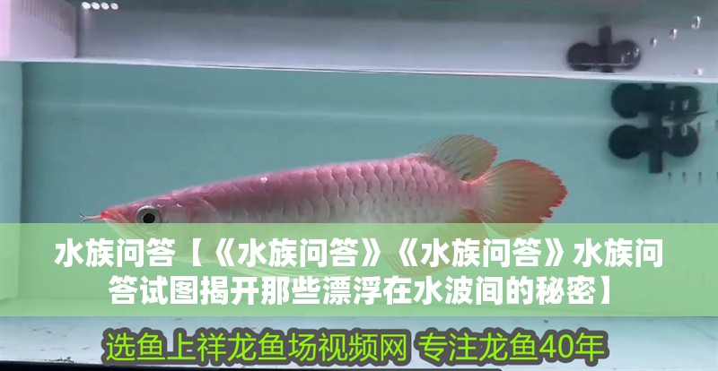 水族問答【《水族問答》《水族問答》水族問答試圖揭開那些漂浮在水波間的秘密】