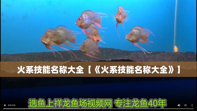 火系技能名稱大全【《火系技能名稱大全》】