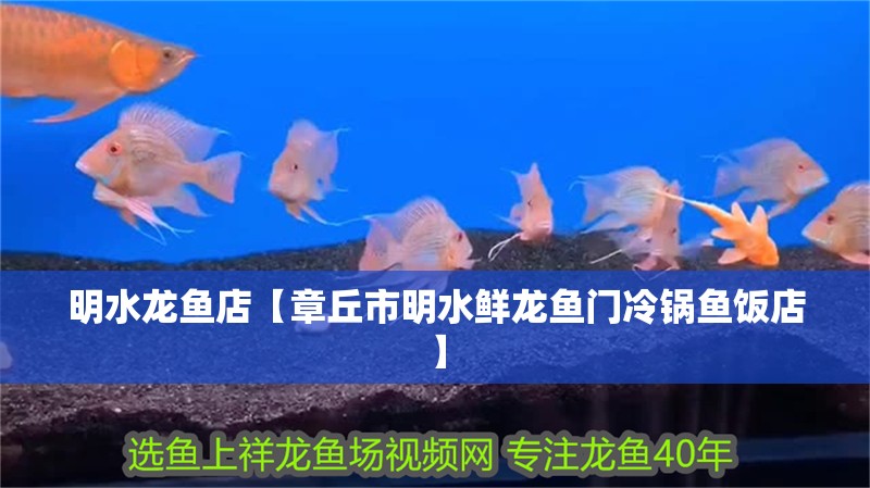 明水龍魚店【章丘市明水鮮龍魚門冷鍋魚飯店】 明水龍魚店【章丘市明水鮮龍魚門冷鍋魚飯店】 全國水族館企業(yè)名錄