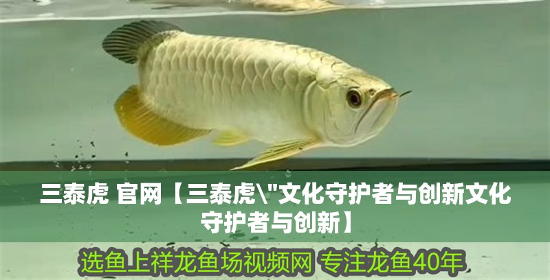 三泰虎 官網(wǎng)【三泰虎\