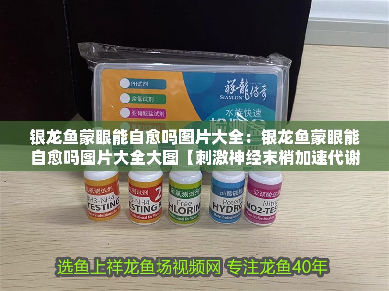 銀龍魚(yú)蒙眼能自愈嗎圖片大全：銀龍魚(yú)蒙眼能自愈嗎圖片大全大圖【刺激神經(jīng)末梢加速代謝廢人工干預(yù)治療銀龍魚(yú)蒙眼自愈】